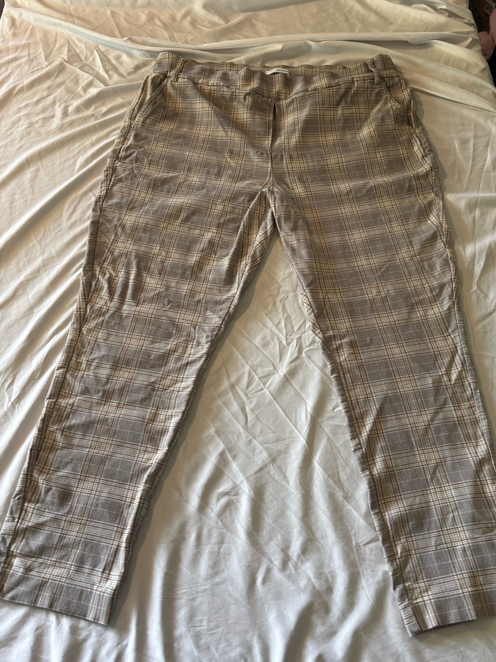 Penningtons Plaid  in Beige and Gray